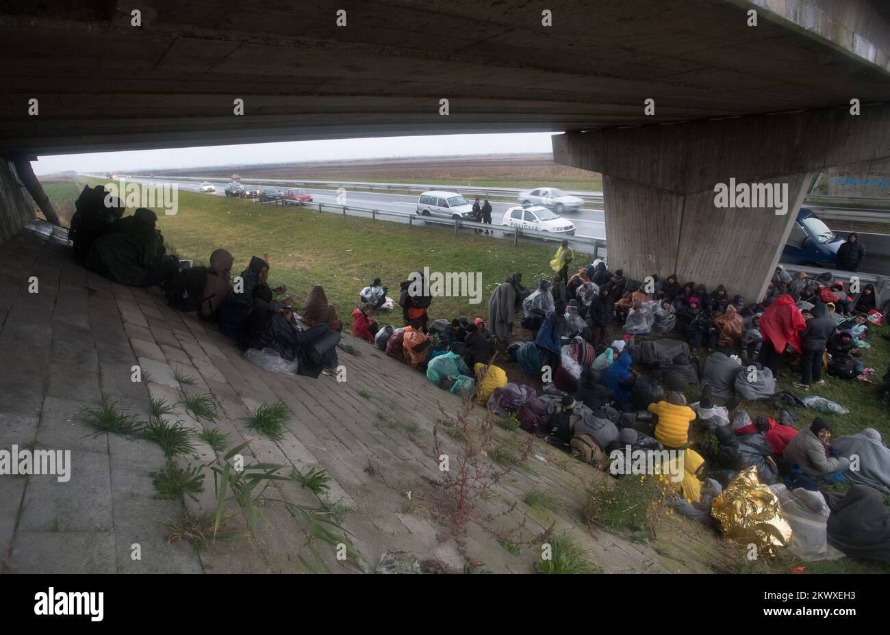 Eine Gruppe von über 100 Migranten, überwiegend aus Afghanistan und Pakistan, ging zu Fuß von Belgrad nach Kroatien, und sie befinden sich derzeit auf der E-70 in der Nähe von Pecinac. Stockfoto