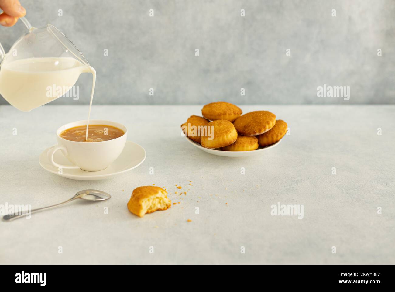 Köstlicher Snack: Eine Tasse schwarzen Tee mit Milch und ein Teller mit Keksen auf grauem Hintergrund. Stockfoto