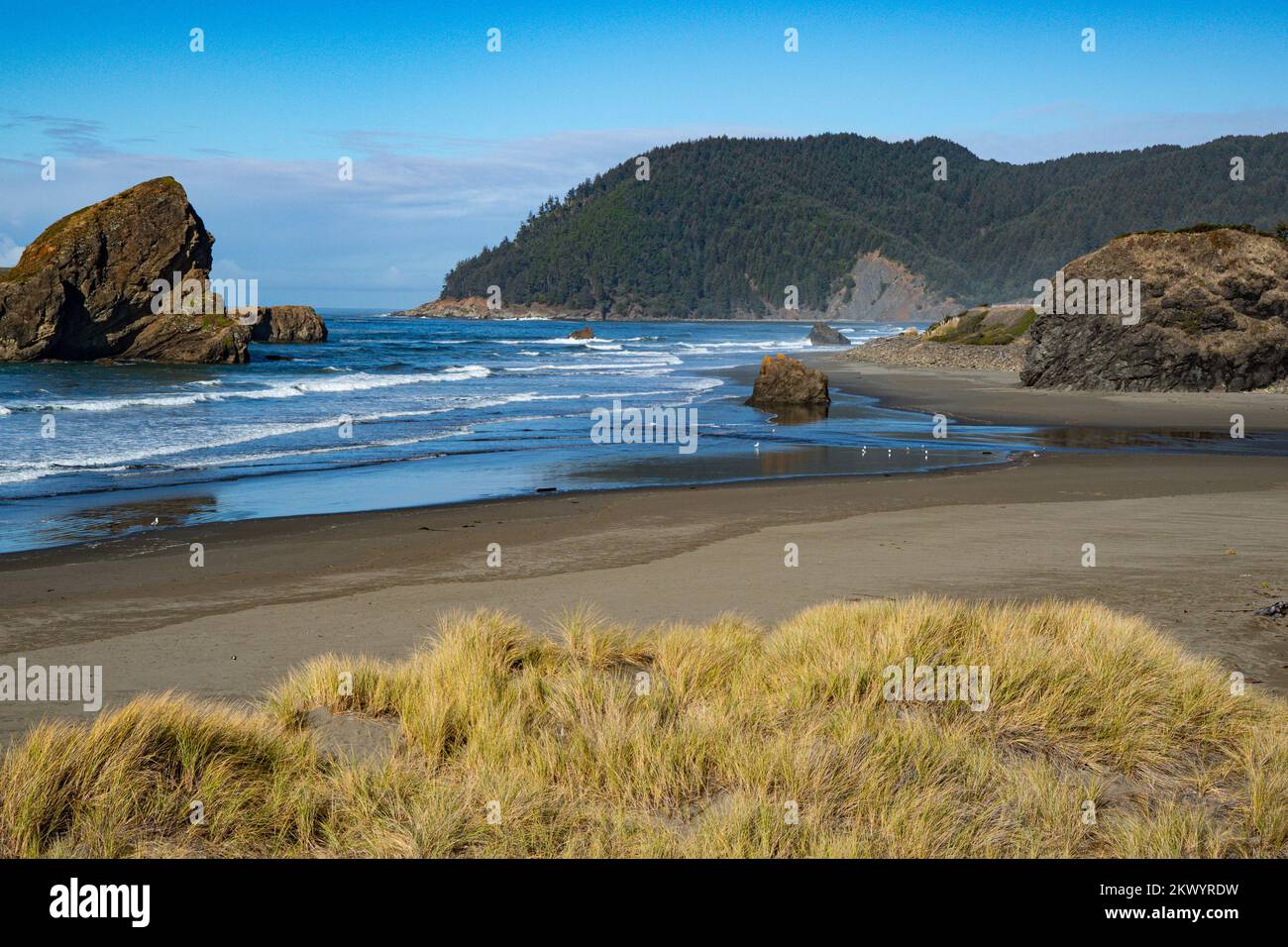 Südliche Küste Oregons Stockfoto