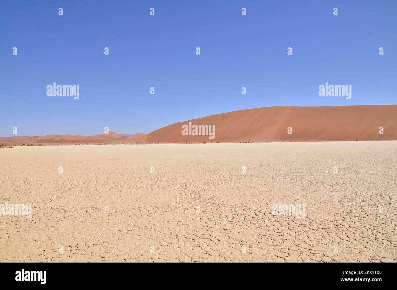 deadvlei sossusvlei Trockenpfannen Wüste Sand dunde Namibia Afrika Stockfoto