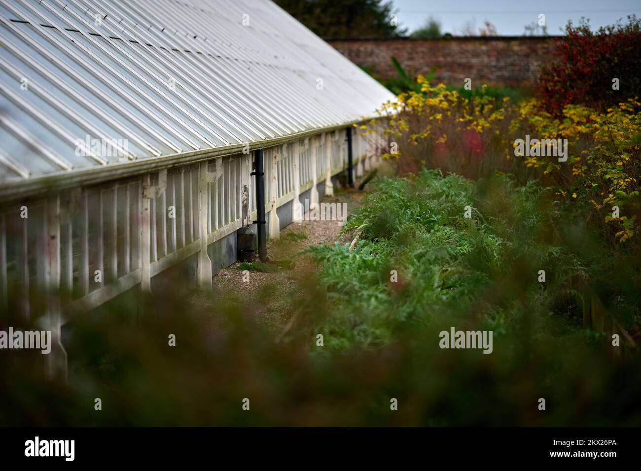 Arley Hall und Gardens Greenhouse Stockfoto