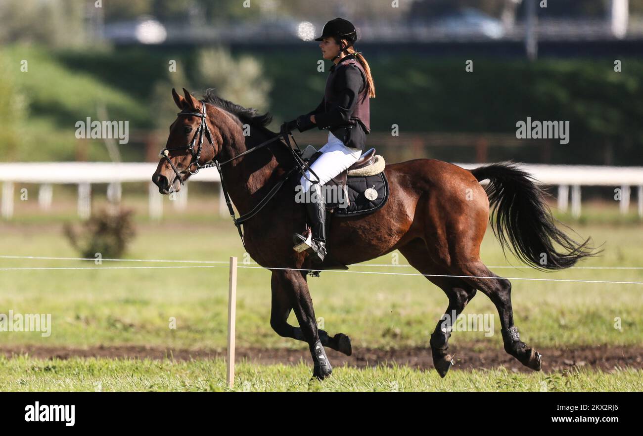 07.10.2017., Kroatien, Zagreb - die kroatische Meisterschaft bei Cross Country Event mit 19 Hürden wurde auf dem Hippodrom abgehalten. Petra Bikic auf dem Pferd Lady Gaga. Foto: Igor Soban/PIXSELL Stockfoto