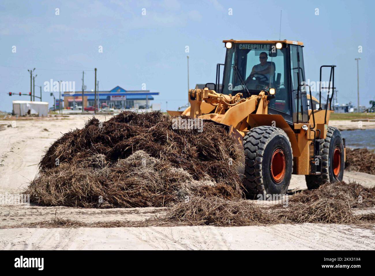 Hurricane Gustav, Pass Christian, MS, 10. September 2008 Cleanup Crews von Harrison County arbeiten weiterhin daran, die Vegetation, Trümmer und tote Tiere zu entfernen, die Hurricane Gustav vor zehn Tagen hinterlassen hat. Fotos zu Katastrophen- und Notfallmanagementprogrammen, Aktivitäten und Beamten Stockfoto