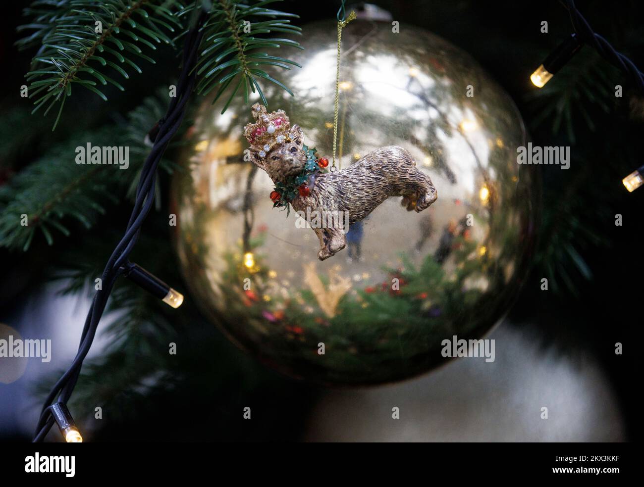 Ein Corgi trägt eine Krone auf einer Kugel auf dem Weihnachtsbaum in der Downing Street, eine Hommage an Königin Elizabeth II., die am 8.. September in Balmoral starb. Stockfoto