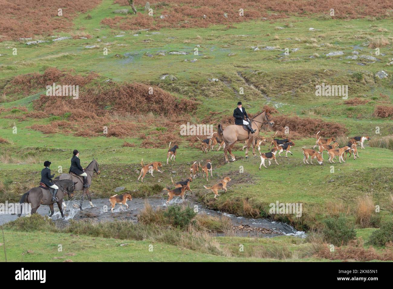 Jagdgebiet in Dartmoor, Großbritannien Stockfoto