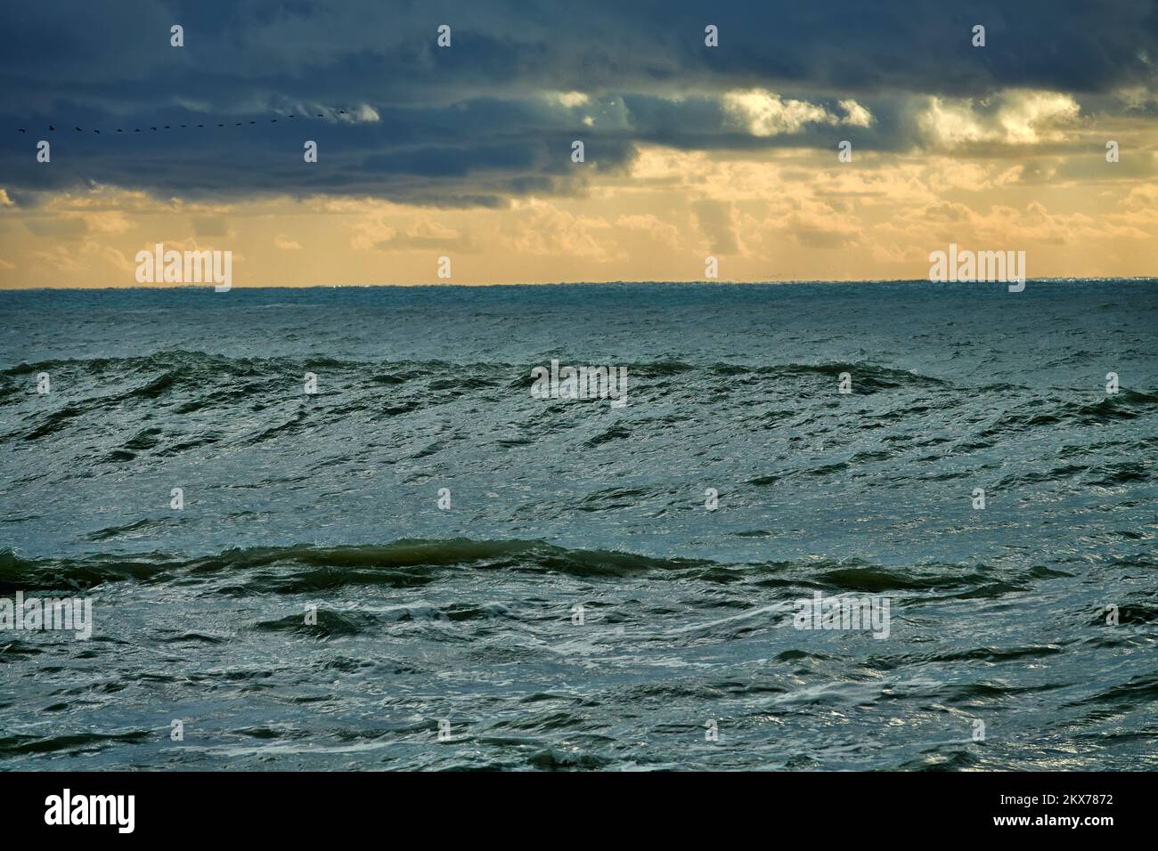 Alle zehn Jahre kommt es zu einem Sturm mit sieben Punkten. Kataklysmen und Wetterphänomene auf See, Stürme und Hurrikane im Herbst Stockfoto