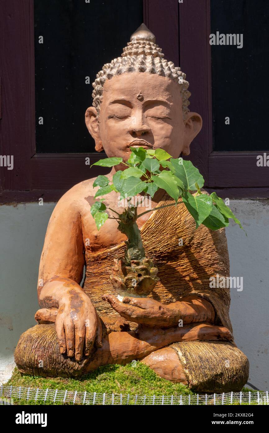 Terrakotta-Statue des buddha in Lotus-Pose mit Ficus religiosa Bonsai in seiner Hand, buddhistischer Tempel Wat Phra Singh, Chiang Mai, Thailand Stockfoto