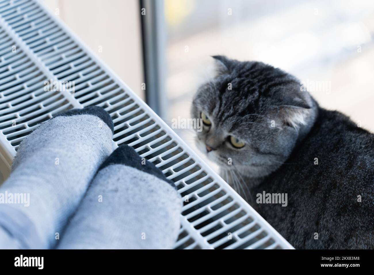 Ein Mensch und eine Katze sonnen sich in der kalten Jahreszeit neben dem Heizkörper Stockfoto