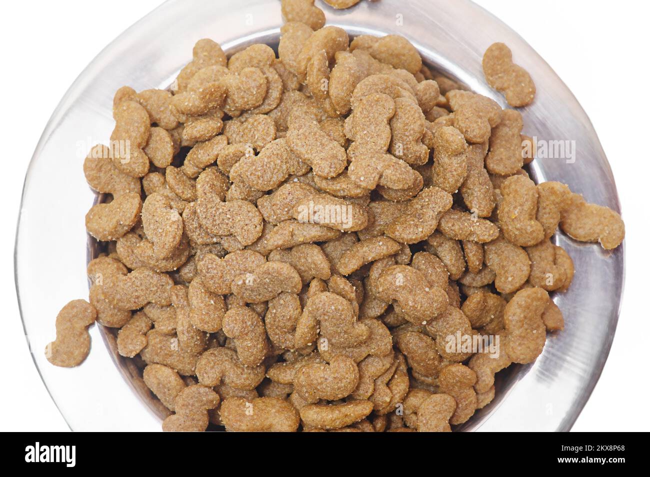 Trockenfutter in einer Metallschüssel für Tiere. Ausgewogenes kornfreies ganzheitliches Futter für Hunde. Stockfoto