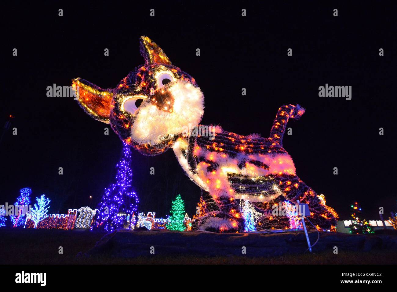 6.12.2018., Grabovnica - die größten weihnachtsbetten in Kroatien befinden sich in Grabovnica auf dem Familiengut Salaj, nur 60km km östlich von Zagreb. Vor 15 Jahren begann Familie Salaj, ihr 60 m2 großes Anwesen mit Christamas-Lichtern zu dekorieren. Im ersten Jahr haben sie 70 Lichter angebracht. Mit jedem Jahr wurde die Anzahl der Dekorationslichter höher, und dieses Jahr gibt es 4 Millionen weihnachtslichter. Die Dekoration beginnt drei Monate vor der Eröffnung und rund 6 Menschen arbeiten im Anwesen Salaj, um den Zauber zum Leben zu erwecken. Foto: Damir Spehar/PIXSELL Stockfoto