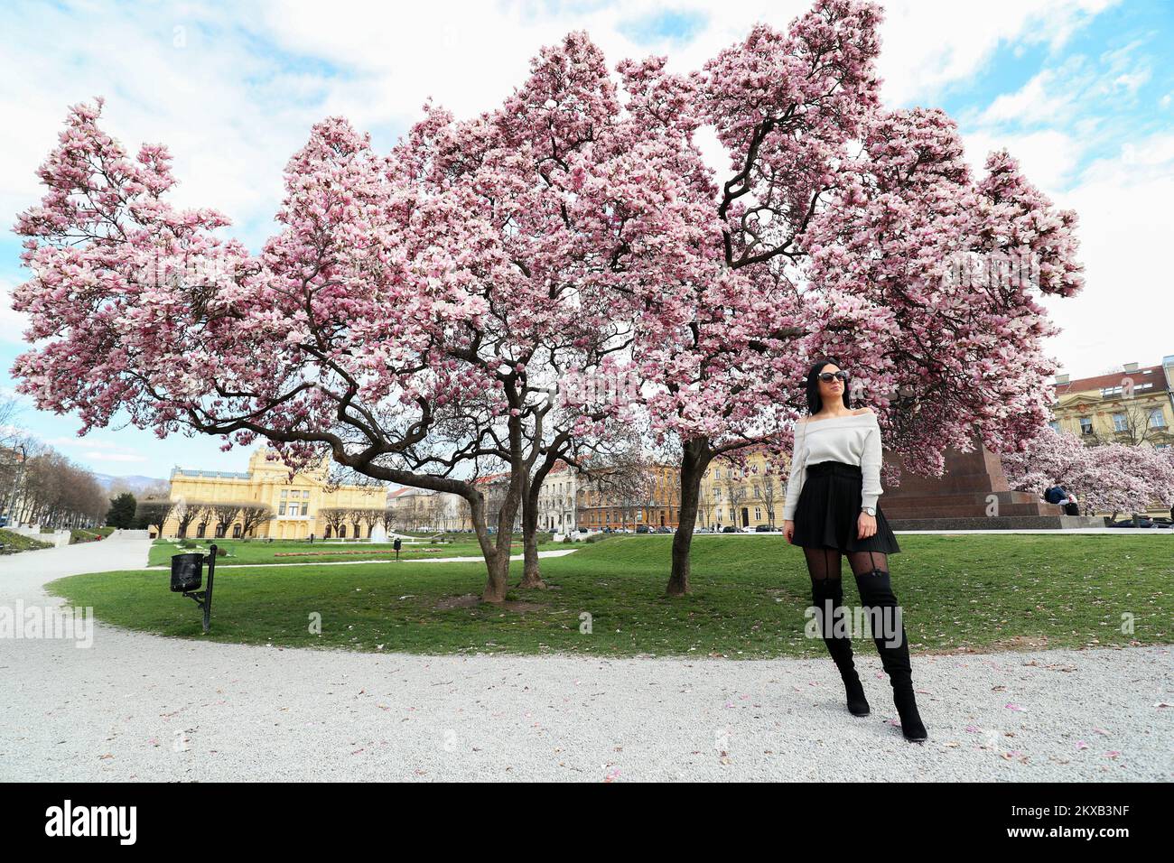 20.03.2019., Zagreb - der Magnolienbaum auf dem Königsplatz Tomislav zieht weiterhin eine große Aufmerksamkeit der Passanten an. Also nutzte Lara aus Pula mit ihrer Freundin direkt nach der Ankunft in Zagreb eine schöne Zeit, um den Moment mit diesem wunderbar blühenden Baum zu verewigen. Foto: Sanjin Strukic/PIXSELL Stockfoto