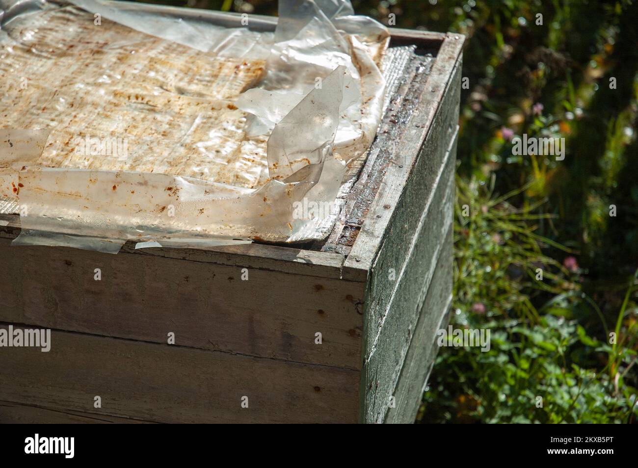 Nahaufnahme eines zerlegten Bienenstocks mit Zellophan-Abdeckung, um es warm zu halten Stockfoto