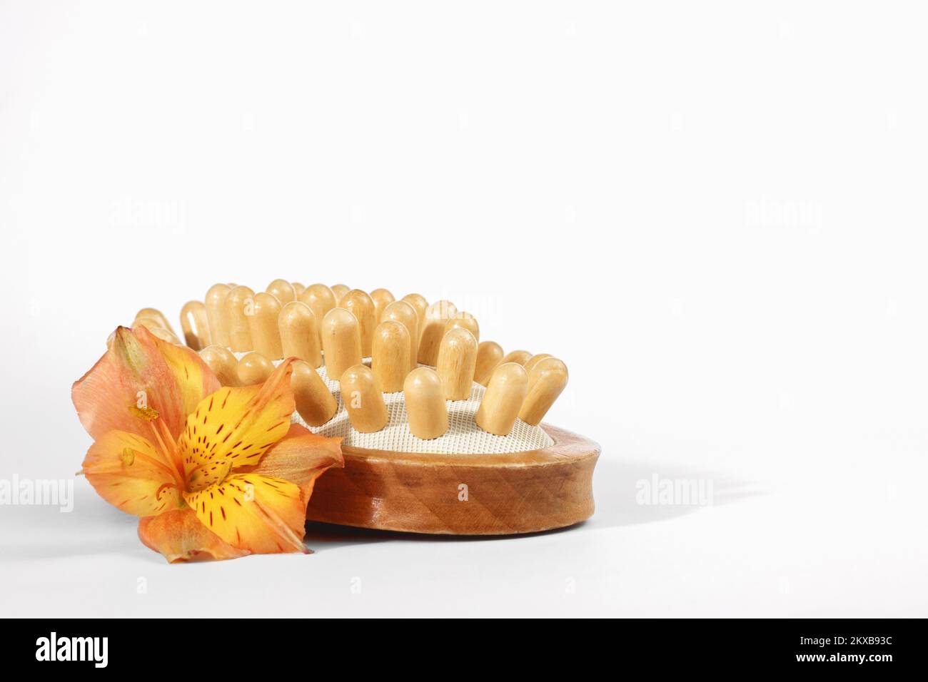 Holzbürste zur Anti-Cellulite-Massage der Haut, mit Blüten, isoliert auf weißem Hintergrund. Speicherplatz kopieren Stockfoto
