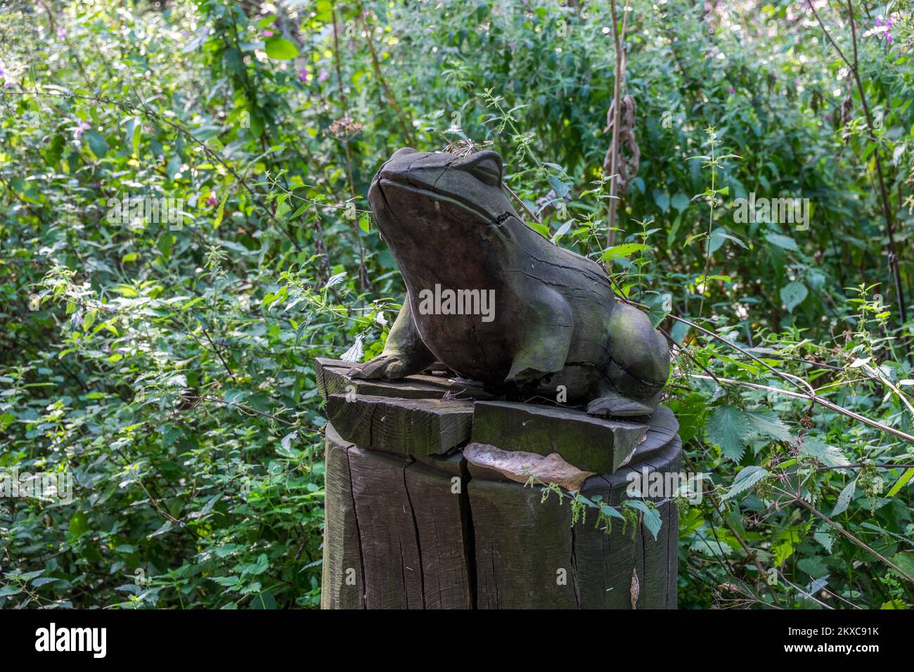 Hölzerner Frosch im Landschaftspark. Stockfoto