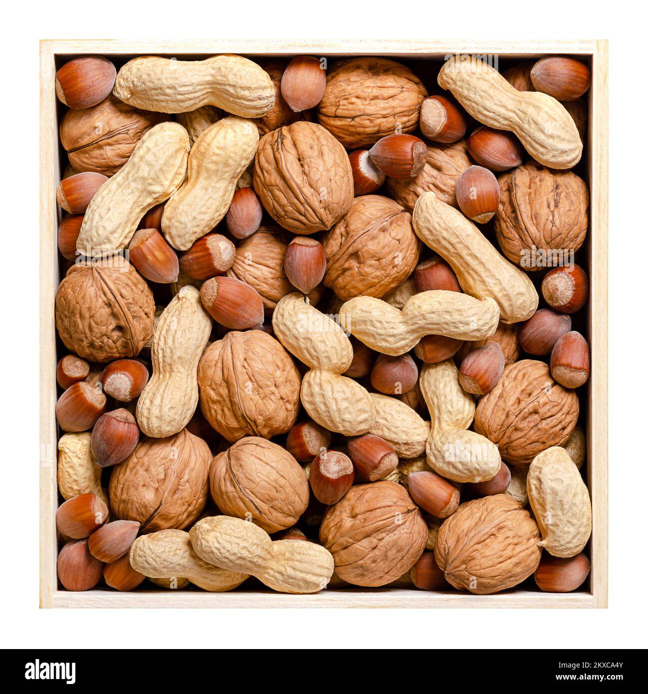 Gemischte Nüsse in ihren Schalen, Snacknüsse in einem quadratischen Holzkasten. Haselnüsse ohne Schale, Erdnüsse und Walnüsse, getrocknet und verzehrfertig. Stockfoto