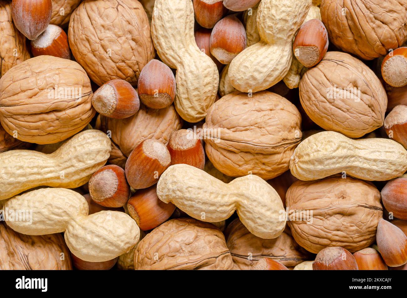 Gemischte Nüsse in ihren Schalen, Snacknüsse, Hintergrund. Haselnüsse ohne Schale, Erdnüsse und Walnüsse, getrocknet und verzehrfertig. Stockfoto