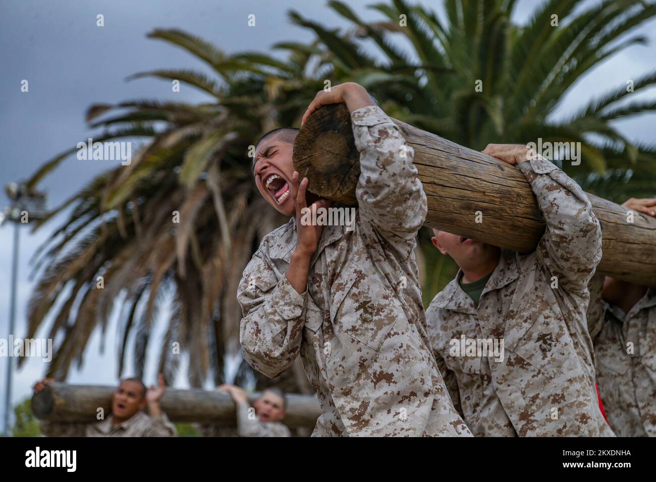 San Diego, Usa. 28.. November 2022. USA Marines rekrutieren bei Bravo Company, 1. Recruit Training Battalion, reagieren auf den 250-Pfund-Log während Übungen im Marine Corps Recruit Depot San Diego, 28. November 2022 in San Diego, Kalifornien. Kredit: CPL. Grace Kindred/USA Marines/Alamy Live News Stockfoto