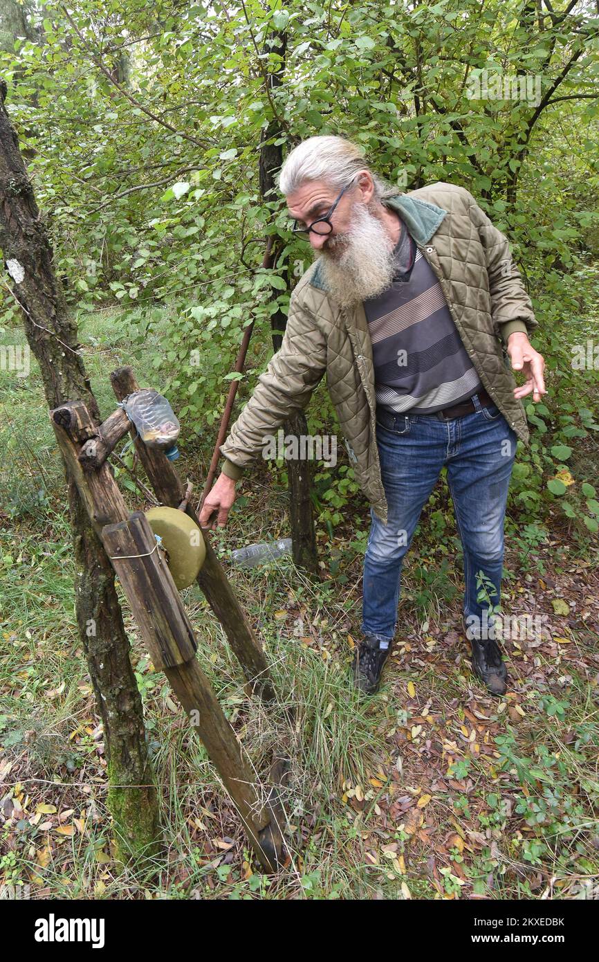 04.11.2019., Umag, Kroatien - Alessandro Bumbak (60), Maler und Konzeptkünstler lebt 28 Jahre lang in den Wäldern bei Umag. Er hat keinen Strom auf seinem 60.000 Quadratmeter großen Waldgrundstück. Er schläft in einem alten Wohnwagen, und nachdem er jahrelang Wasser in Eimern aus lokalen Gasthäusern oder von Freunden geholt hat, bekam er vor etwa einem Jahr fließendes Wasser. Sein Unternehmen ist Hund Kira Trees sind seine Freunde und sein Unterschlupf, Kräuter und eine Vielzahl von Kunstinstallationen, die sich überall entlang eines großen, bewaldeten Grundstücks erstrecken. Sandro verwendet alte Kühlschränke als Lagerräume für Geschirr und Haushaltsgeräte. Einer ist sogar gefüllt Stockfoto
