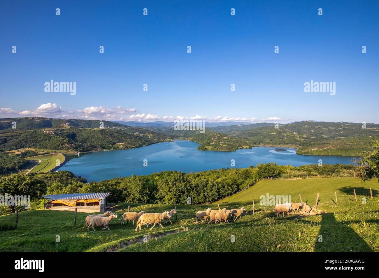 13.06.2020., Buzet, Kroatien - Butonigaer See ist ein Sammelsee in Istrien, am gleichnamigen Fluss. Der See wurde in den 1988 Jahren erbaut. Die Hauptflüsse des Butonigaer Sees sind Draguc und der RaÄiÄki-See Butoniga liegt in einer Höhe zwischen 40 und 500 Metern. Oberfläche ist 73 km2. Die Seenfläche bei normalem Rückfluss beträgt 2,45 km2. Das Reservoirvolumen beträgt 19,7 Millionen m3, wovon der Totbereich für die Sedimententsorgung 2,2 Millionen m3 beträgt. Die Überlaufschwelle liegt 41 Meter über dem Meeresspiegel. Das Wasser aus der Butoniga wird an die Verbraucher in Pazin, Porec und Rovinj verteilt. Die Wasserversorgungskapazität beträgt 1000 l/s. P Stockfoto