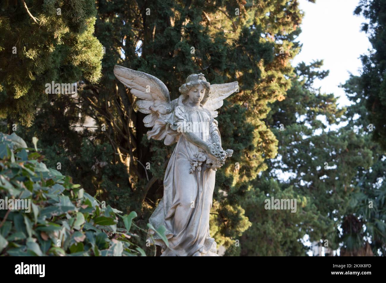 Die Steinstatue von Angel auf dem Friedhof, umgeben von Bäumen, Symbol der großen Traurigkeit Stockfoto