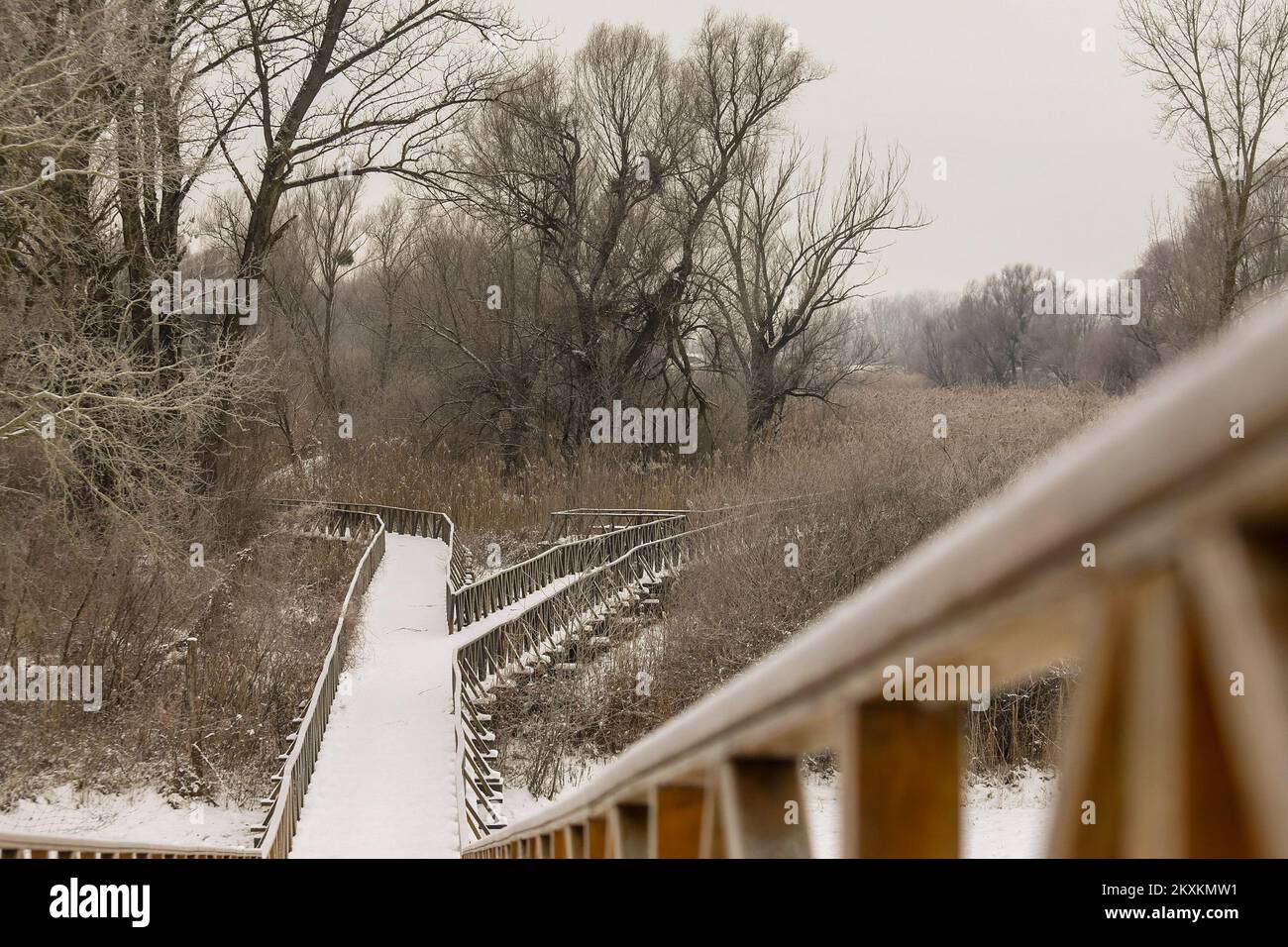 Die Winterlandschaft wird am 21. Januar 2021 im Naturpark Kopacki rit gezeigt. Foto: Dubravka Petric/PIXSELL Stockfoto