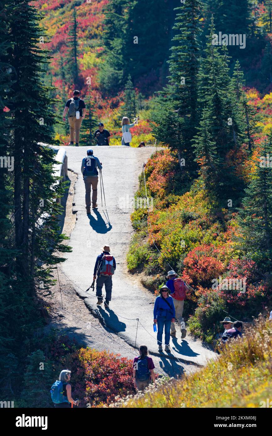 Mount Rainier, WA, USA - 05. Oktober 2022; Wanderer im Herbst auf dem Mount Rainier Walking Trail bei Myrtel Falls Stockfoto