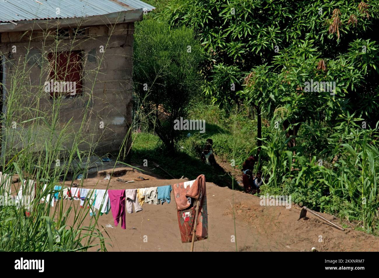 Innenhof und Haus, außerhalb von Kinshasa, Demokratische Republik Kongo. Wäschetrocknung; Stockfoto