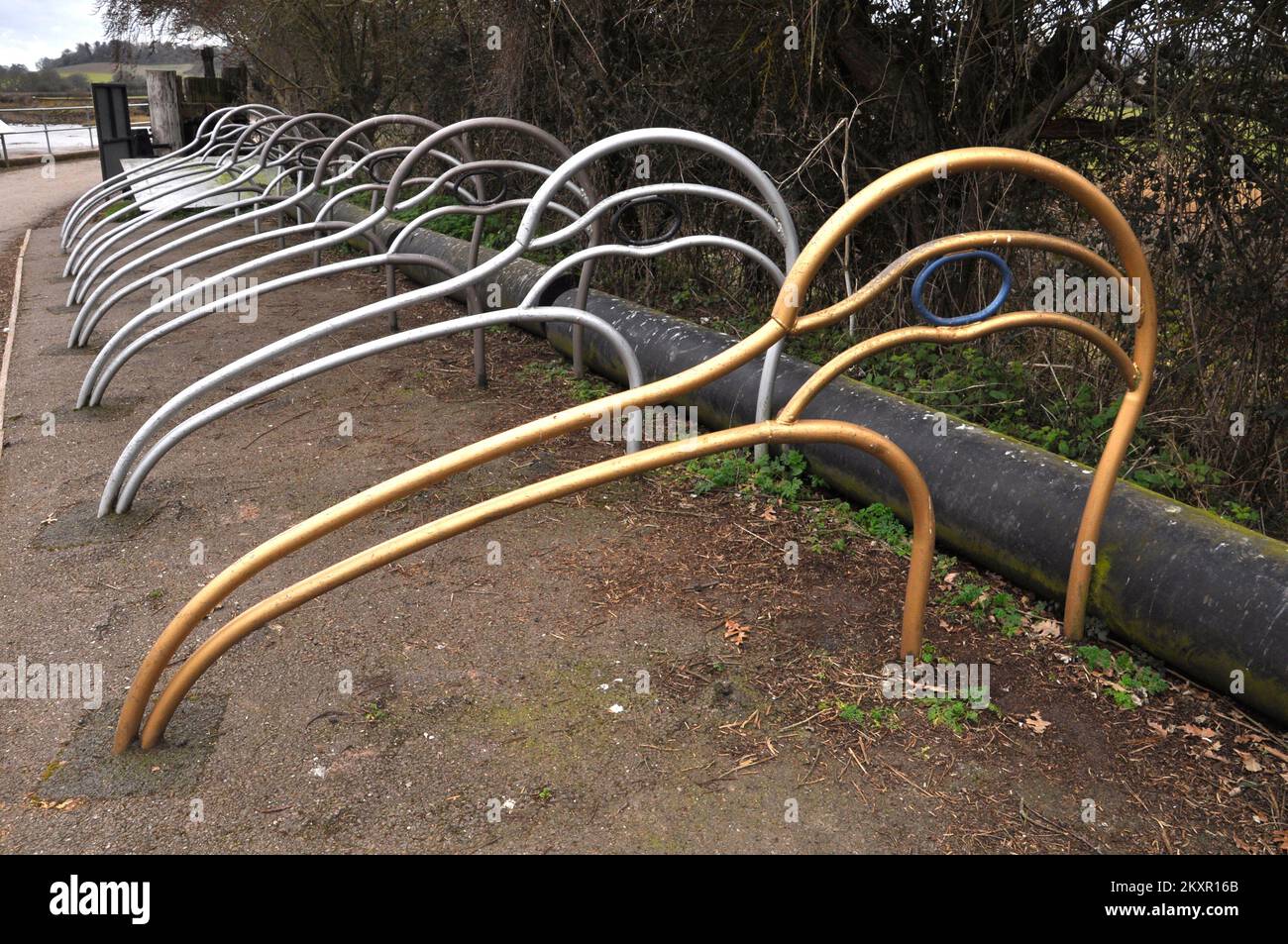 Interessanter Fahrradständer, die Form, die auf dem Kopf eines Watvögels modelliert wurde. Das Fahrradgestell befindet sich auf dem Abschleppweg des Exeter-Schiffskanals Stockfoto