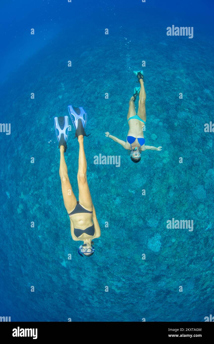 Zwei Frauen (MR) tauchen kostenlos über einem Riff in Hawaii. Stockfoto