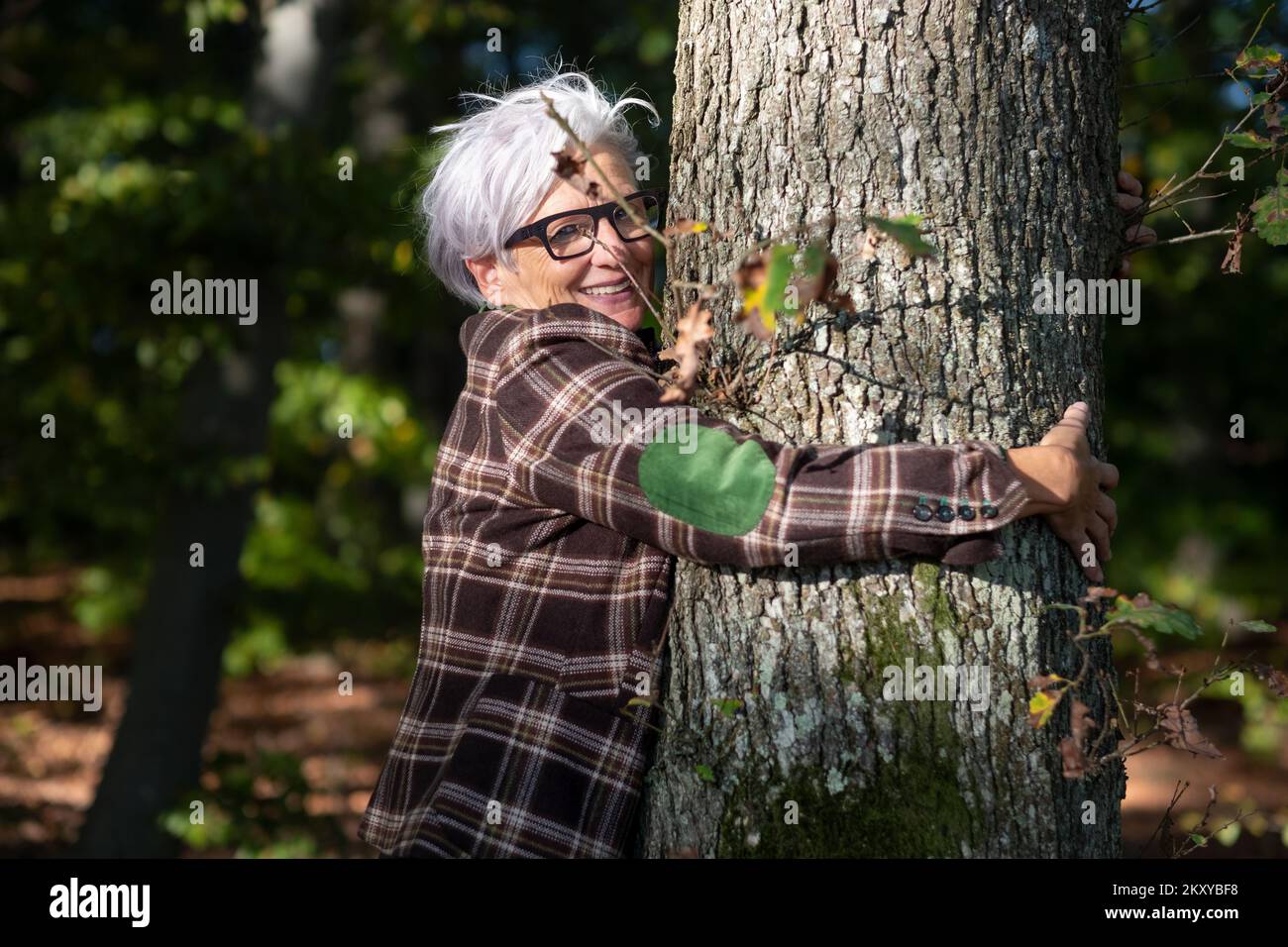 Ältere, glückliche, reife, grauhaarige Frau mit Brille, in 50 in 60 Jahren, die einen Baumstamm im Wald umarmt, Kopierraum Stockfoto