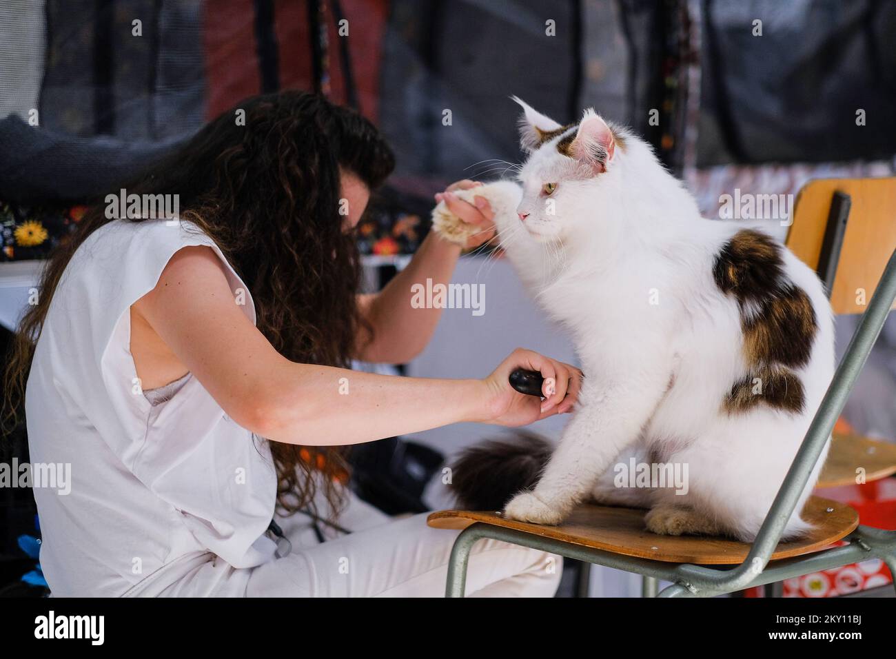 Katzenbesitzer zusammen mit ihren Haustieren auf der International Cat Show, die am 21. Mai 2022 in der Sporthalle Martinovka in Zagreb, Kroatien, stattfindet. Die vom Felis Croatia Cat Club (KMFC) organisierte Internationale Cat Show, derzeit der größte felinologische Club in Kroatien in Bezug auf die Anzahl aktiver Züchter von Katzenrassen, findet am Wochenende des 21. Und 22. Mai in der Martinovka Sports Hall in FER statt. KMFC ist Mitglied der World Feline Association, World Cat Federation (WCF). Foto: Tomislav Miletic/PIXSELL Stockfoto