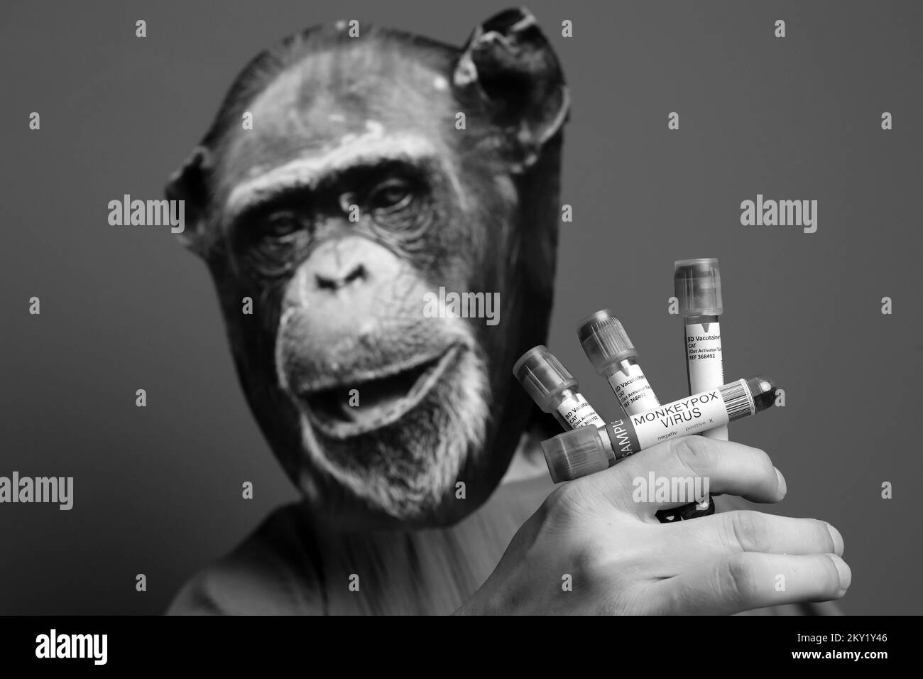 Illustrierende Fotografie für Affen-Pocken, eine seltene Krankheit, die durch eine Infektion mit dem Affen-Pocken-Virus verursacht wird, in Zagreb, Kroatien am 24. Juni 2022. Foto: Emica Elvedji/PIXSELL Stockfoto
