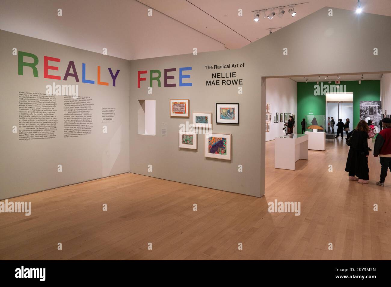 „Really Free Radical Art“ von Nellie Mae Rowe im Brooklyn Museum of Art in Brooklyn, New York City Stockfoto