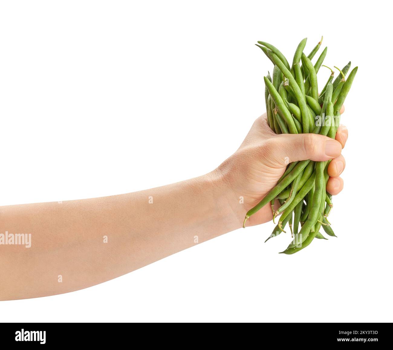 Grüne Bohnen im Handweg isoliert auf Weiß Stockfoto