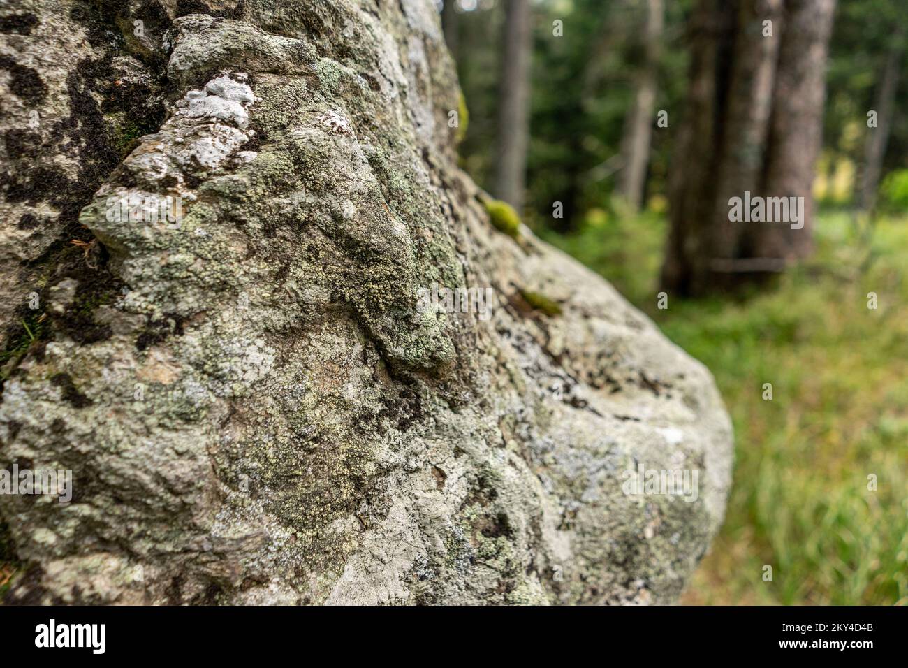 Andesite ist ein vulkanischer Felsen, den Sie auch in Slowenien finden können Stockfoto