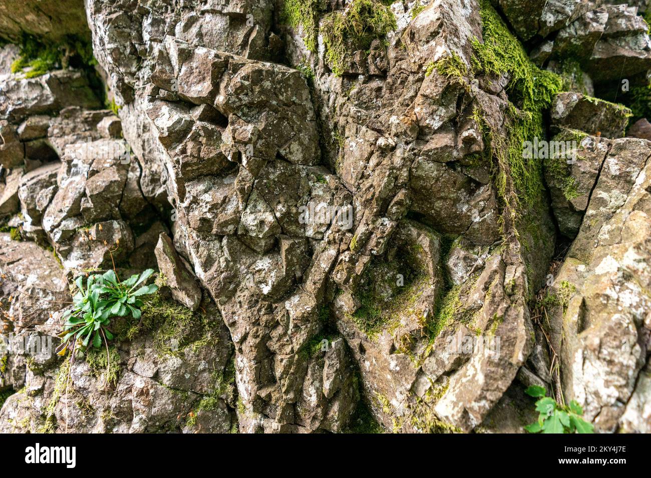 Andesite ist ein vulkanischer Felsen, den Sie auch in Slowenien finden können Stockfoto
