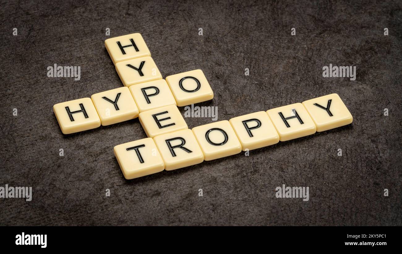 Hypotrophie und Hypertrophie Kreuzworträtsel in elfenbeinfarbenen Buchstabensteinen gegen texturiertes Rindenpapier, medizinisches und Fitnesskonzept Stockfoto