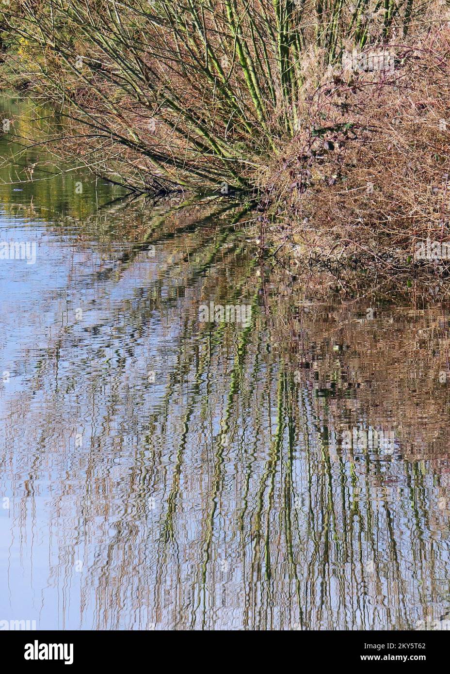 Landschaftsfotografie: Von Bäumen gesäumte Ränder der Wasserstraße, die sich im Wasser auf dem Shropshire und Worcester Kanal, einem British Waterways Kanal nahe Tixal, widerspiegeln Stockfoto