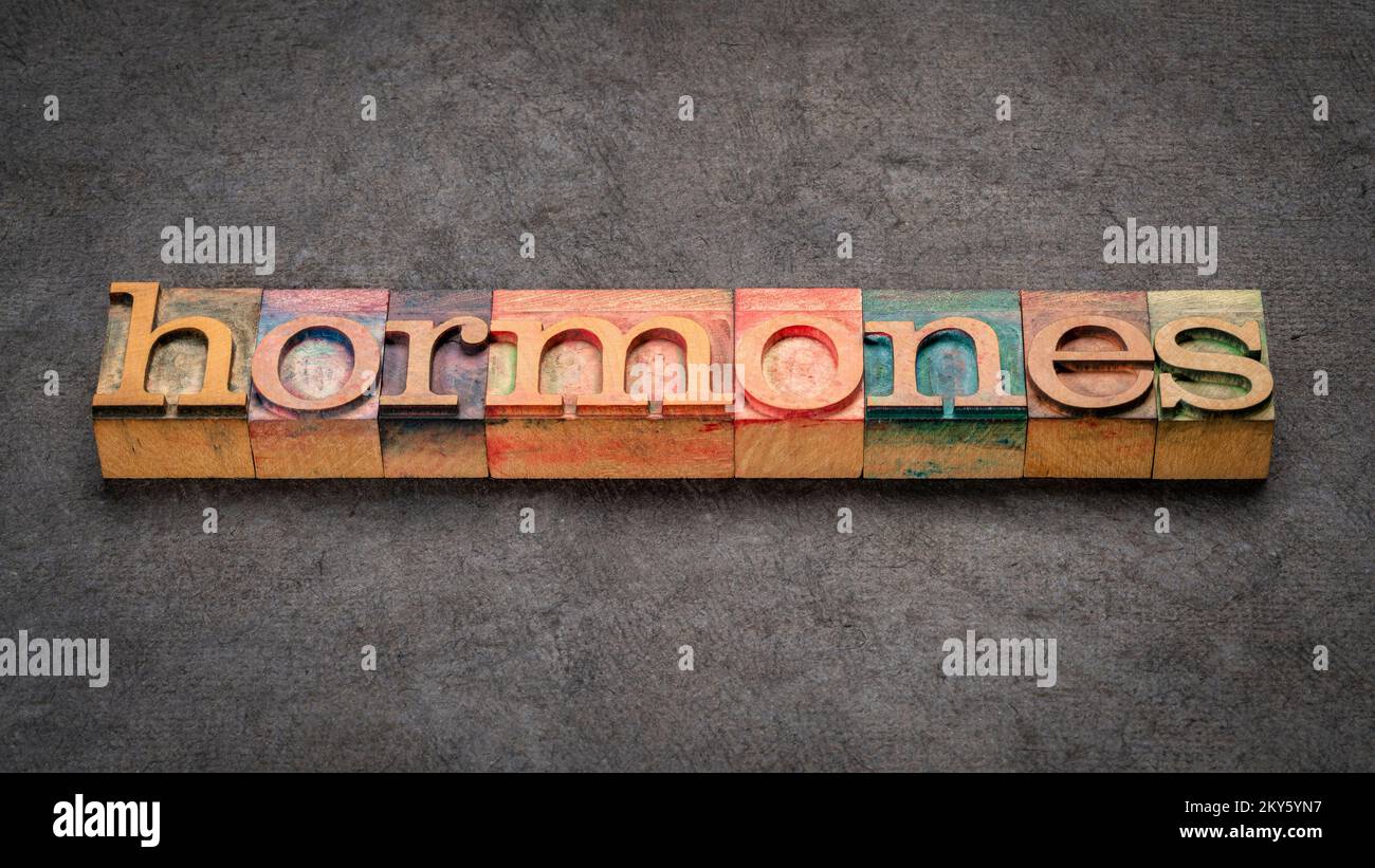 Hormonwort abstrakt in klassischen Letterpressen Holzblöcken gegen texturiertes Rindenpapier, Gesundheitskonzept Stockfoto