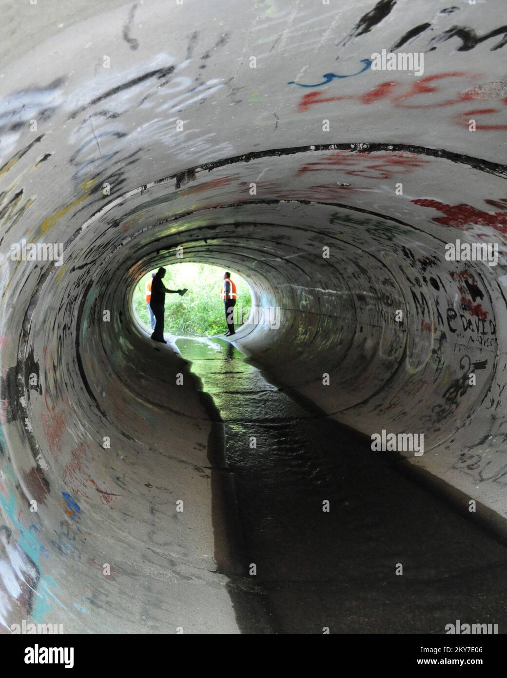 Sozialfachärzte Untersuchen Schäden Nach Anwendung. Fotos zu Katastrophen- und Notfallmanagementprogrammen, Aktivitäten und Beamten Stockfoto