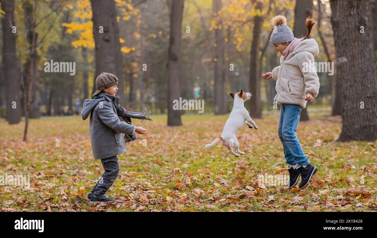 Kaukasische Kinder laufen mit Jack russell Terrier im Herbstpark. Junge, Mädchen und Hund springen im Freien. Stockfoto
