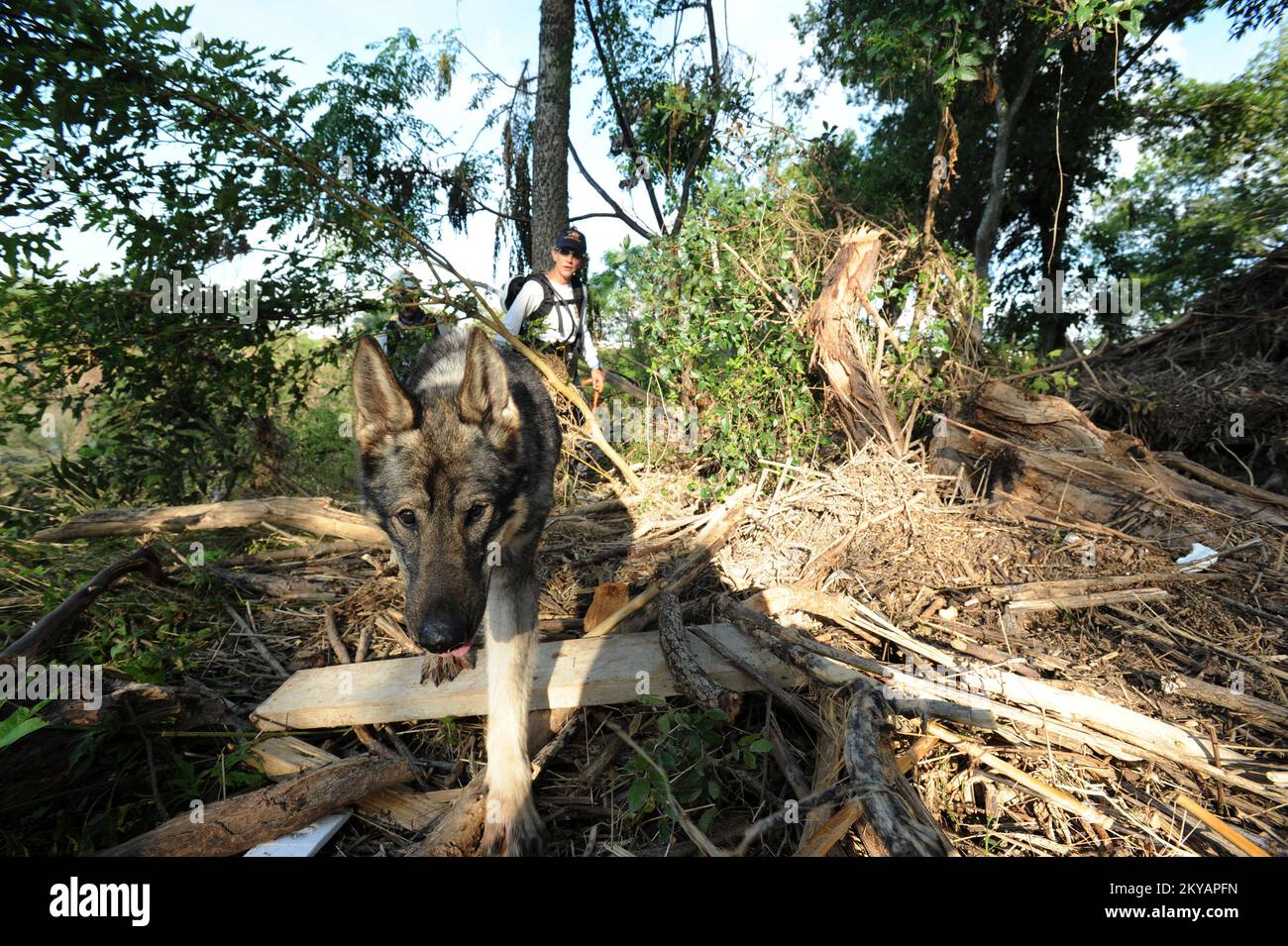 San Marcos, TX Urban Search and Rescue Team, Texas Task Force 2 Mitglieder und Rettungshunde durchsuchen die Ufer des Blanco River nach vermissten Bewohnern. Das Gebiet wurde von umfangreichen Überschwemmungen heimgesucht, die zu einer vom Präsidenten erklärten Katastrophe führten. Jocelyn. San Marcos, TX -- Urban Search and Rescue Team, Texas Task Force 2 Mitglieder und Rettungshunde durchsuchen die Ufer des Blanco River nach vermissten Bewohnern. Das Gebiet wurde von umfangreichen Überschwemmungen heimgesucht, die zu einer vom Präsidenten erklärten Katastrophe führten. Fotos zu Katastrophen- und Notfallmanagementprogrammen, Aktivitäten und Beamten Stockfoto