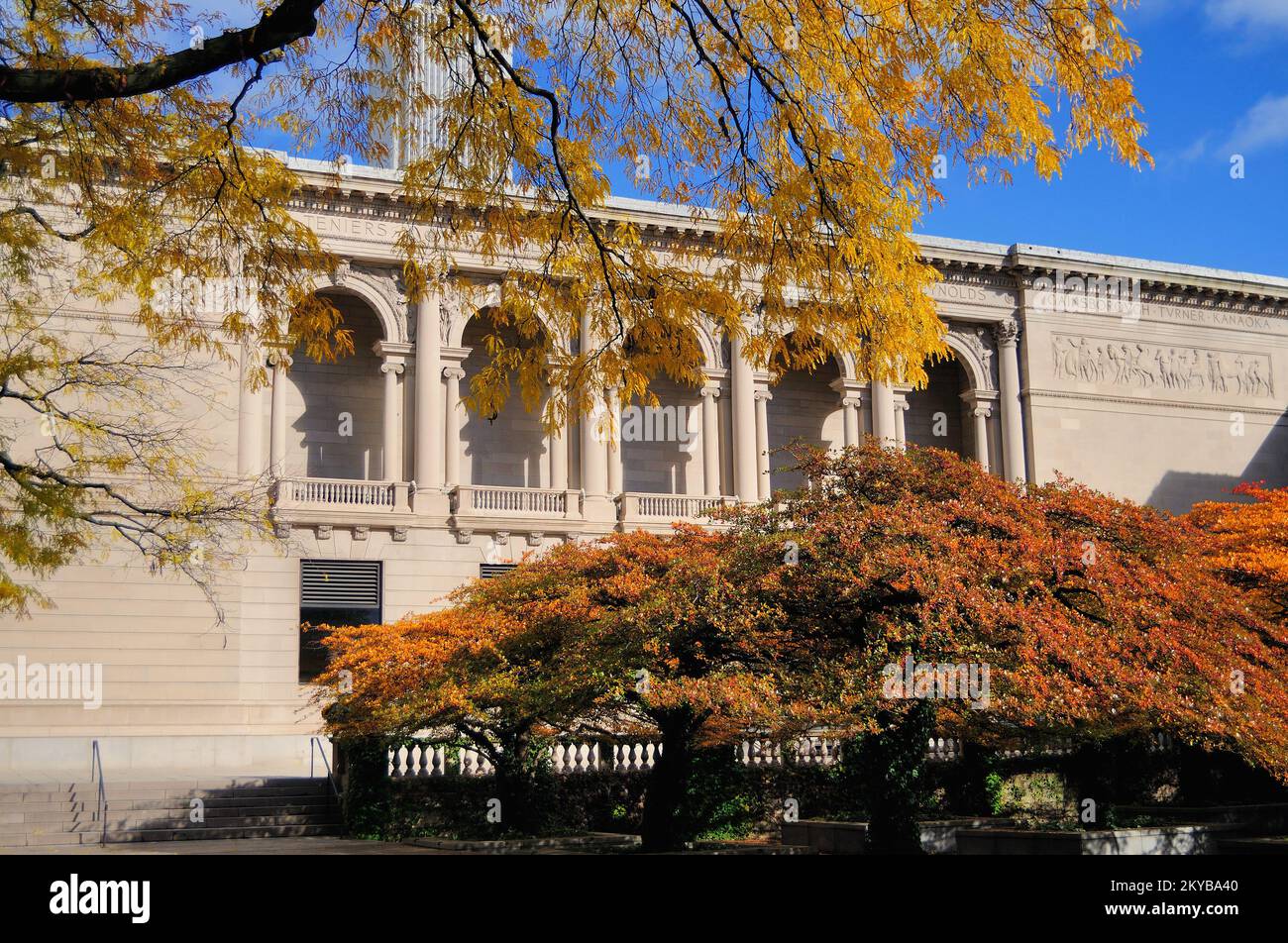 Der Herbst verkündet seine Präsenz in Chicago, während die Blätter im südlichen Garten des Art Institute of Chicago ihre Farbe annehmen. Stockfoto