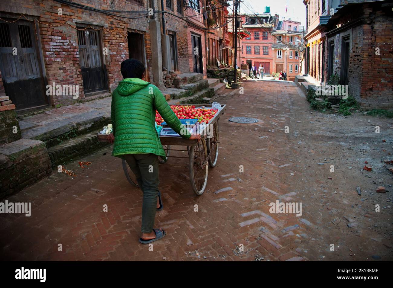 Rückansicht eines jungen Mannes, der einen Wagen mit Äpfeln auf den Straßen von Kathmandu, Nepal, schiebt Stockfoto