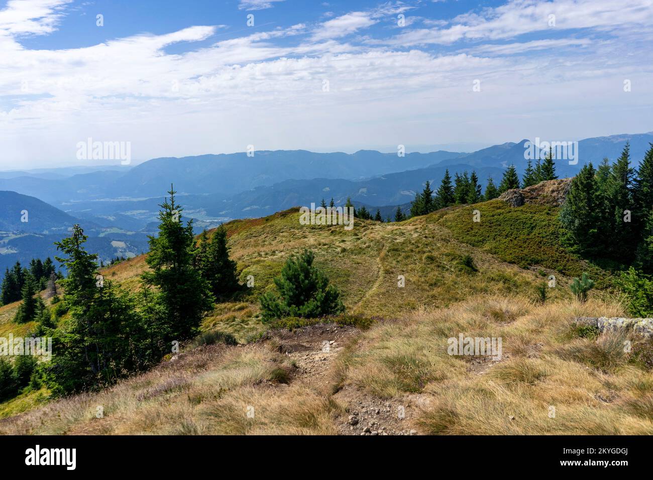 Wanderung in den Bergen Sloweniens in der Region Smrekovec. Stockfoto
