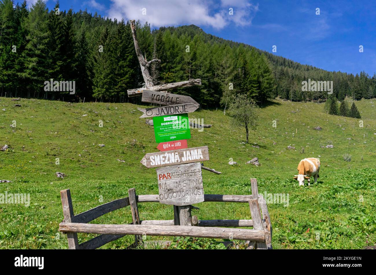 Wanderung in den Bergen Sloweniens in der Region Smrekovec. Stockfoto