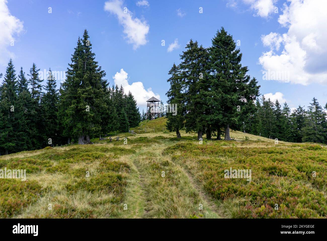 Wanderung in den Bergen Sloweniens in der Region Smrekovec. Stockfoto