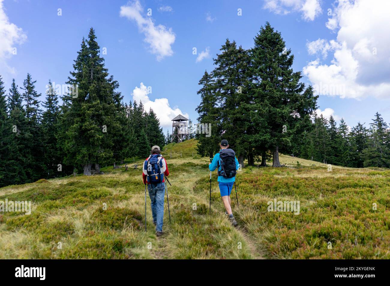 Wanderung in den Bergen Sloweniens in der Region Smrekovec. Stockfoto