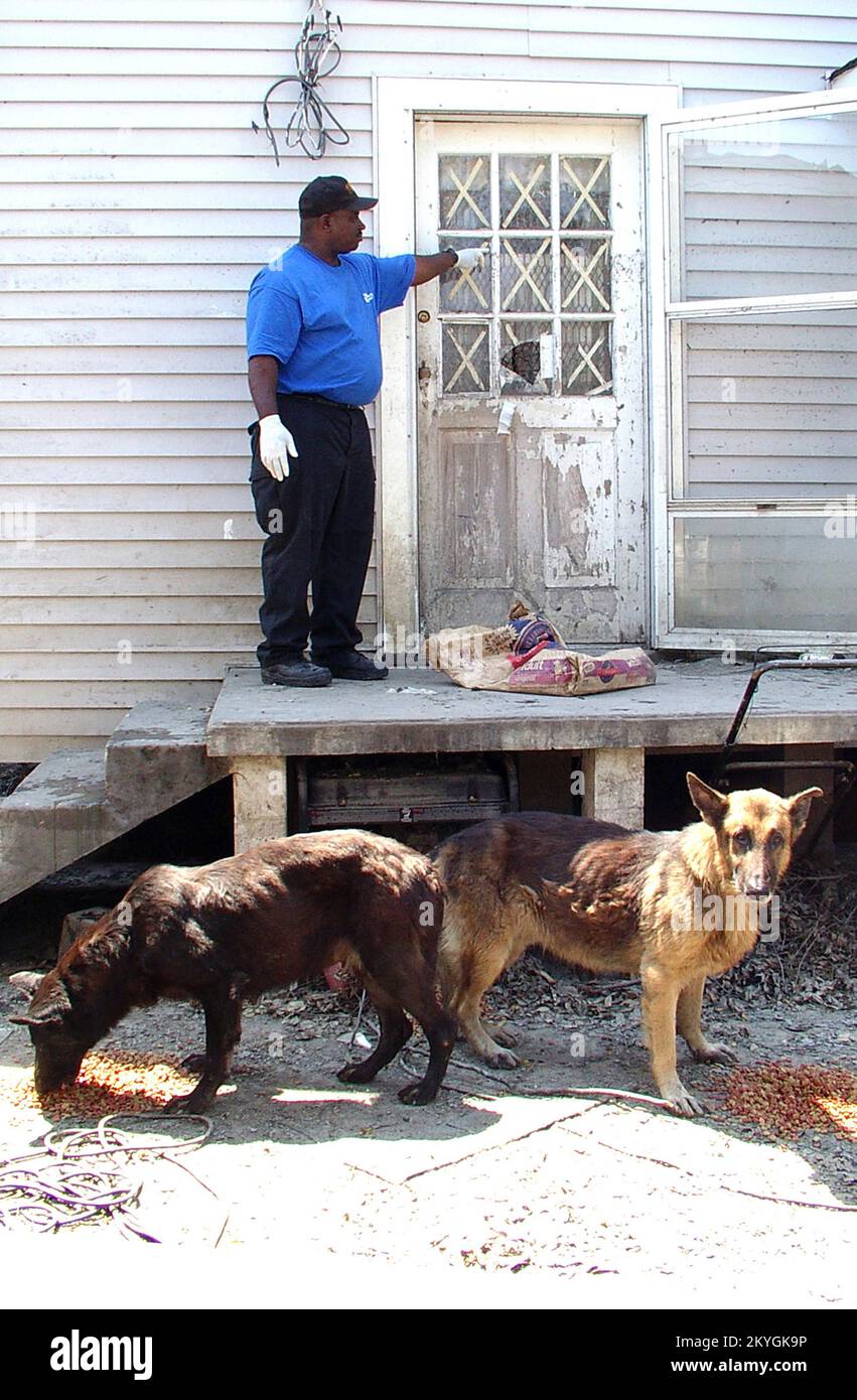 Hurricane Katrina, New Orleans, LA, 11. September 2005 - abgemagerte Hunde erhalten Futter und Wasser von Robert Watts von der Southern Hope Humane Society in Atlanta zwei Wochen nachdem Hurrikan Katrina die Gegend traf. Watts zeigt, wo der Wasserstand in diesem Haus in Jefferson Parish gestiegen ist. Mary Beth Delarm/FEMA Stockfoto