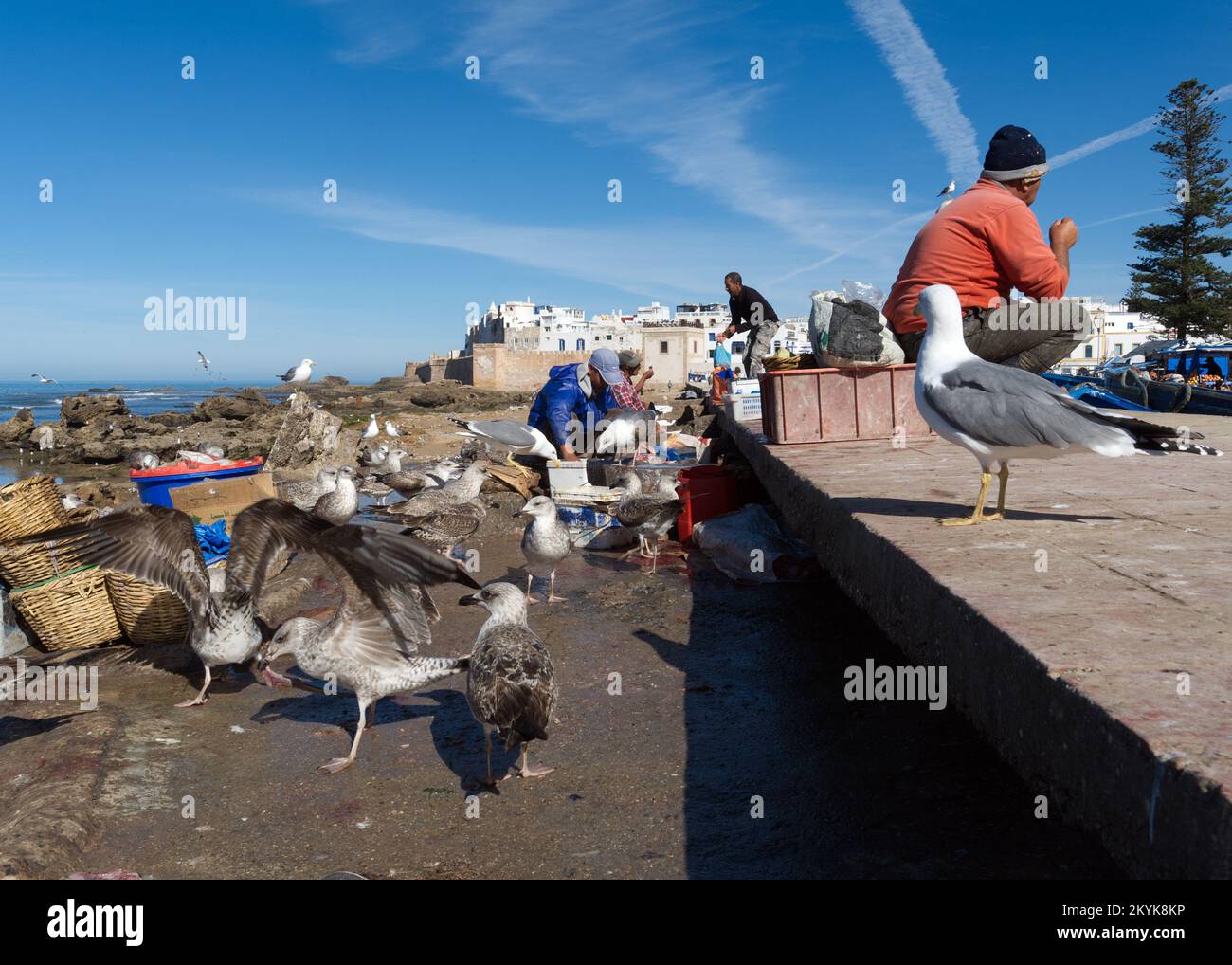Fischer, die Fische ausnehmen und säubern - Essaouira, Marokko Stockfoto